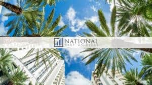 This is a National Debt Holdings Logo with a background of palm trees and a building with a clear sky