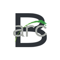 Branding Arc Logo