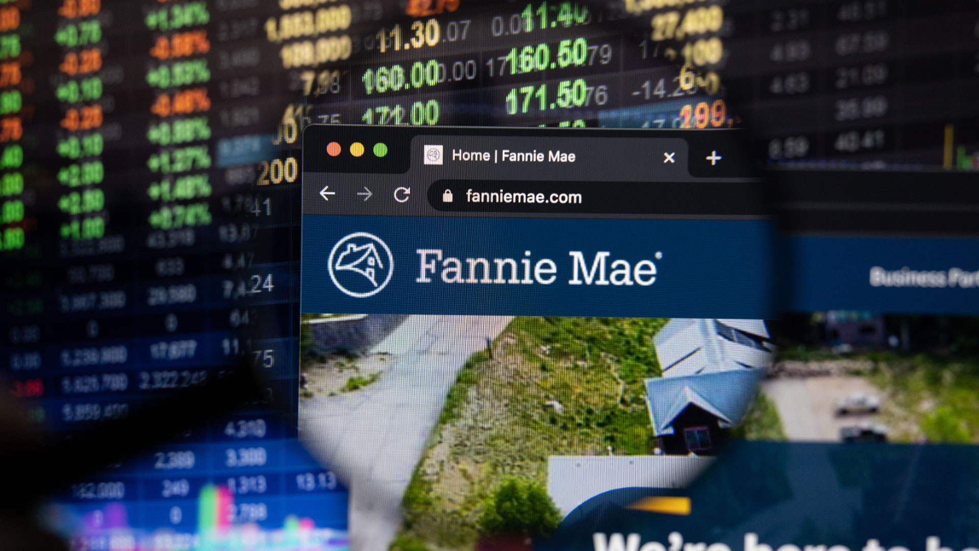 Fannie Mae company logo on a website with blurry stock market developments in the background