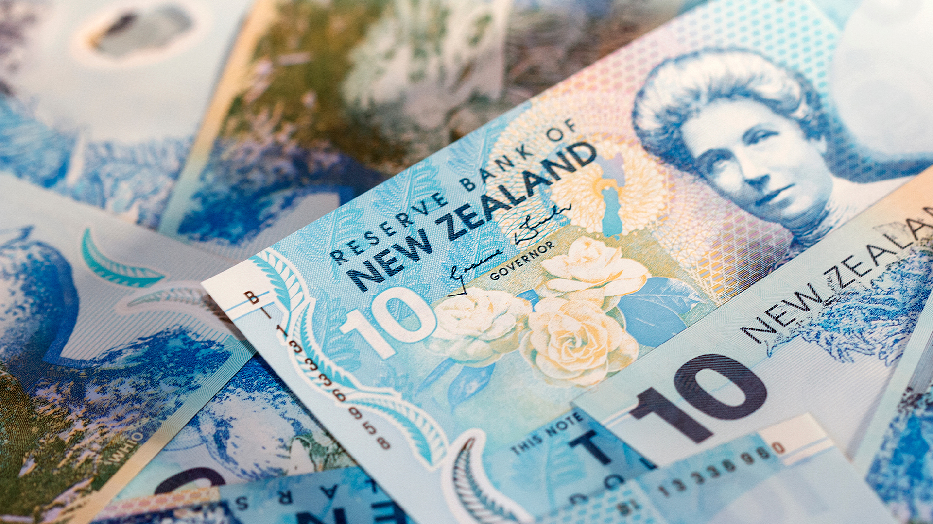 New Zealand Currency