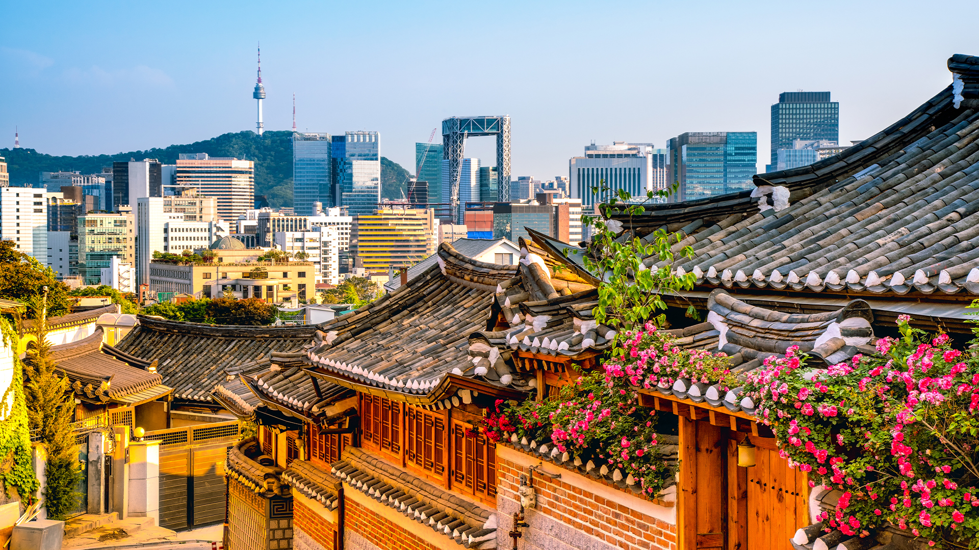 South Korean Debt Collection News